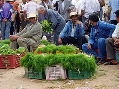 Dill-Verkäufer