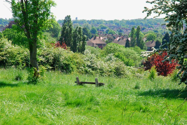 looking out over SE London