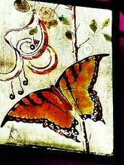 cherington butterfly c18