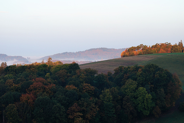 Odenwald - 121022 0817