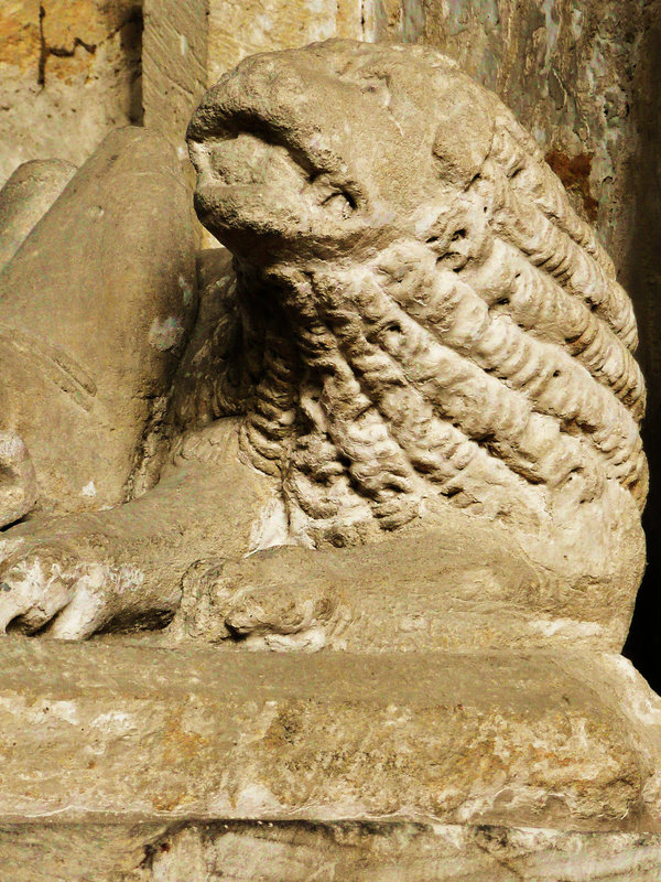 cherington lion 1350 {type c}