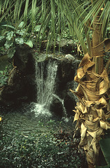 Greenhouse waterfall