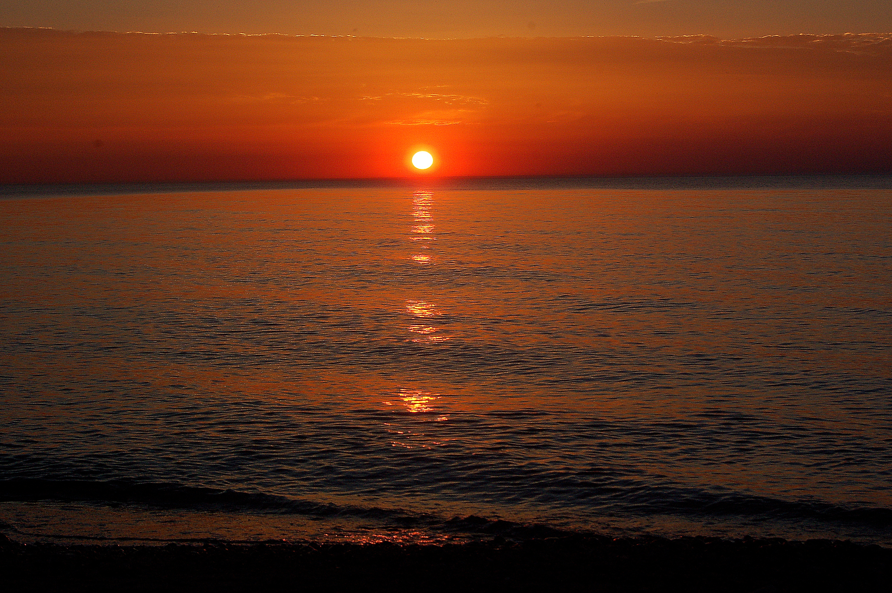 Albumo Balta Maro Rerik 1, sunsubiro