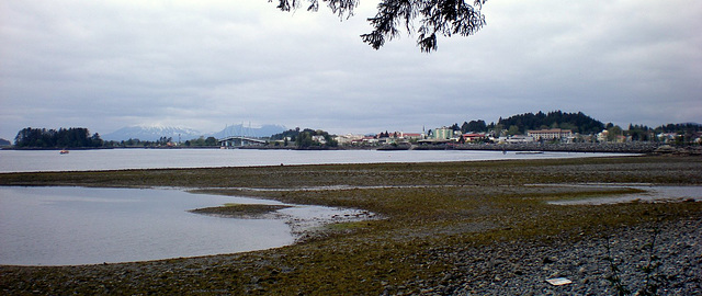 Day 8: View of town from Sitka NHP