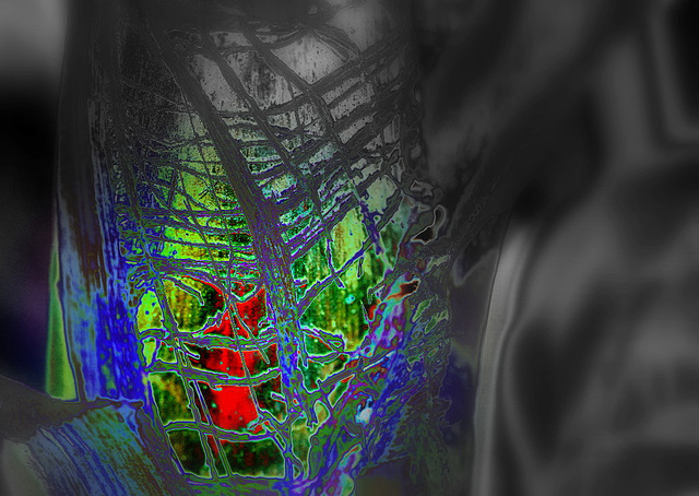 La petite flamme en cage