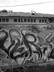 (10-34-46) Great LA Walk (10-34-46) Great LA Walk