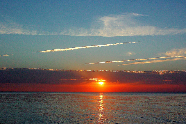 Albumo Balta Maro Rerik 1, sunsubiro