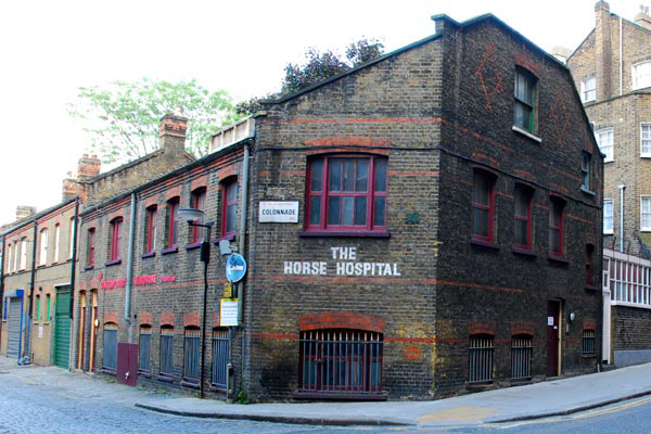 Horse hospital