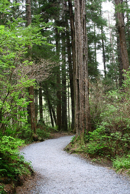 Day 8: Sitka NHP Totem Path