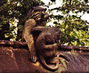 cardiff animalwall