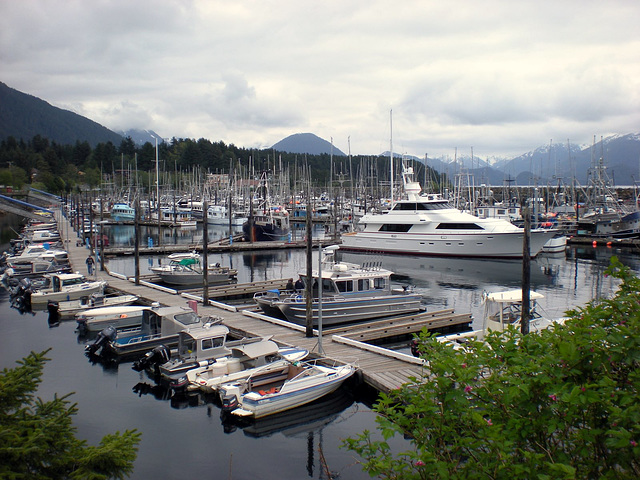 Day 8: Sitka Harbor