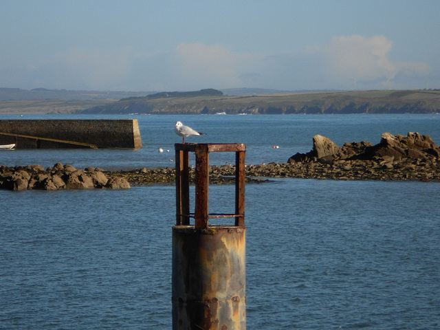 VUE SUR LA PRESQU'ILE DE CROZON