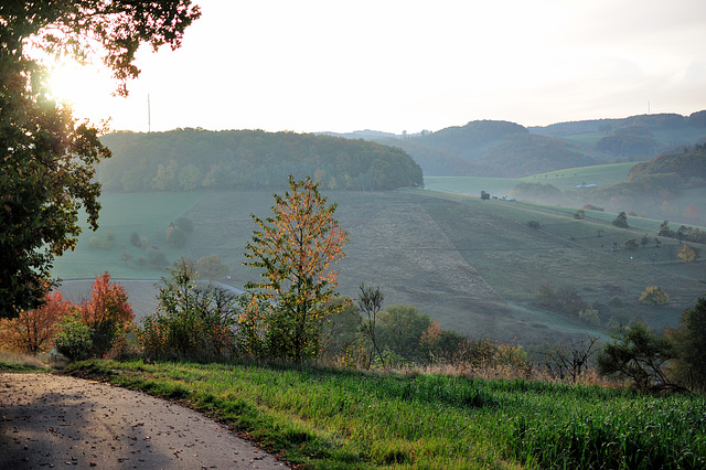 Odenwald - 121022 0835