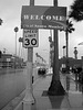 (16-39-34) Great LA Walk - santa Monica