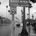 (16-39-34) Great LA Walk - santa Monica