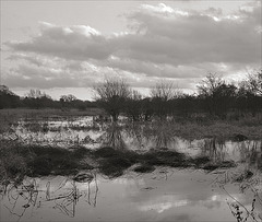 flood plains