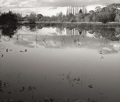 flood plains