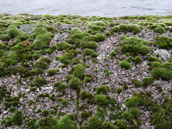 River wall