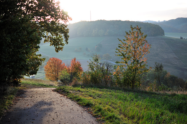 Odenwald - 121022 0836