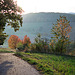 Odenwald - 121022 0836