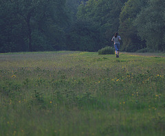 evening runner