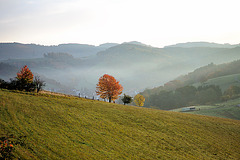 Odenwald - 121022 0838