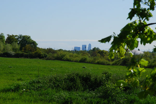 Canary Wharf across the fields