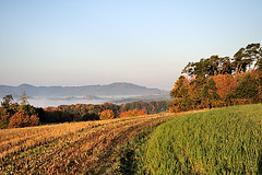 Odenwald - 121022 0839