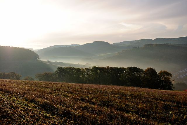 Odenwald - 121022 0841