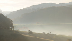 Odenwald - 121022 0843