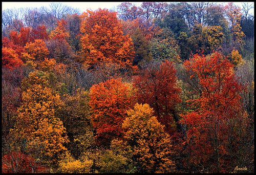 panaché de couleur