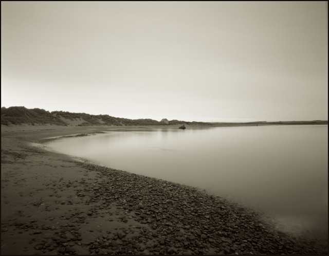 dog beach