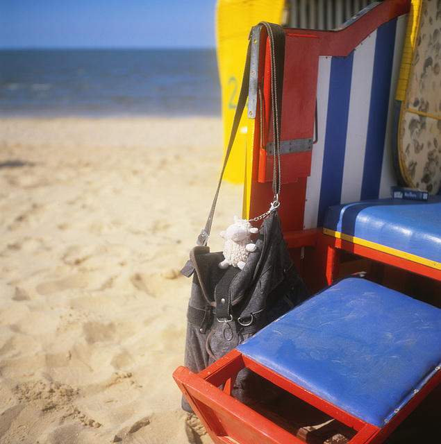 ein kleines schaf am strand