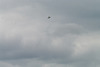 Spitfire over Datchworth (2)