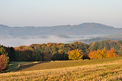 Odenwald - 121022 0843