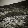 Shetland  - peat bank