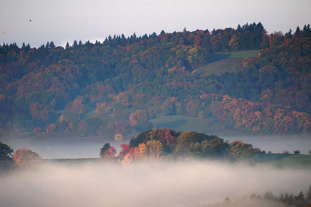 Odenwald - 121022 0844