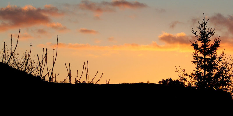 Crépuscule du 16 novembre (4)