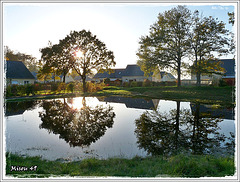 LA CAMPAGNE ANGEVINNE