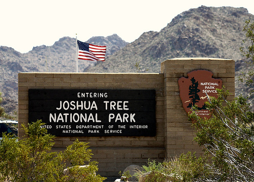 Joshua Tree National Park