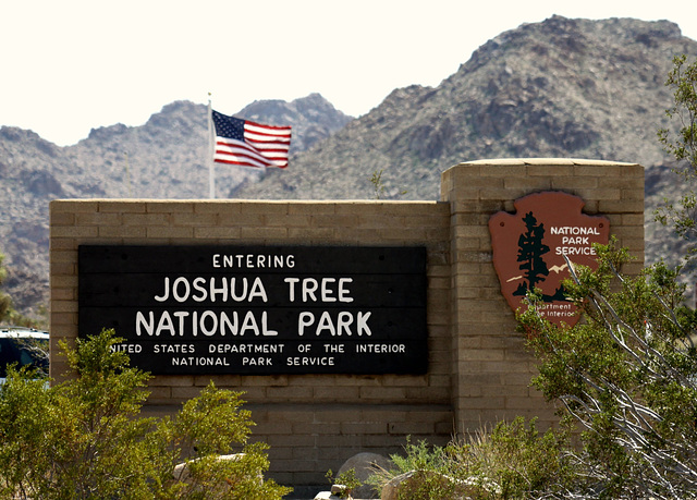 Joshua Tree National Park