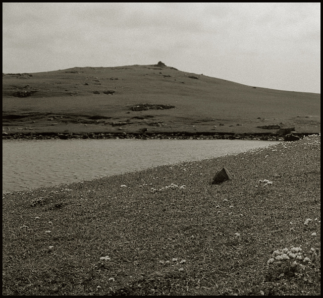 Shetland series