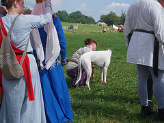 Pennsic 013