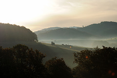 Odenwald - 121022 0849