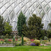 Denver Botanical Gardens (6)