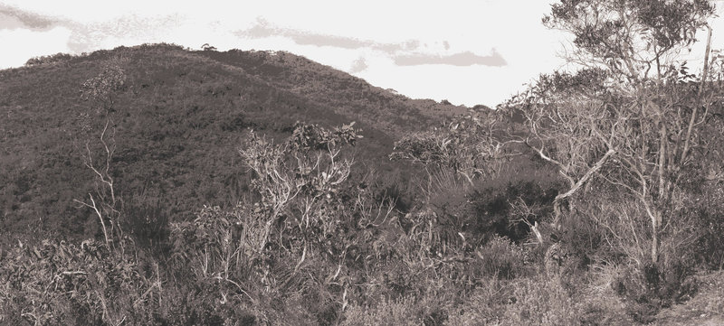 Myponga CP