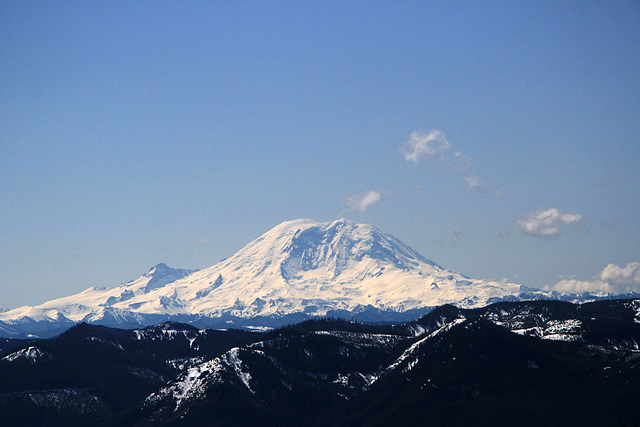 Mount Rainier from Mount Si