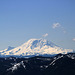 Mount Rainier from Mount Si