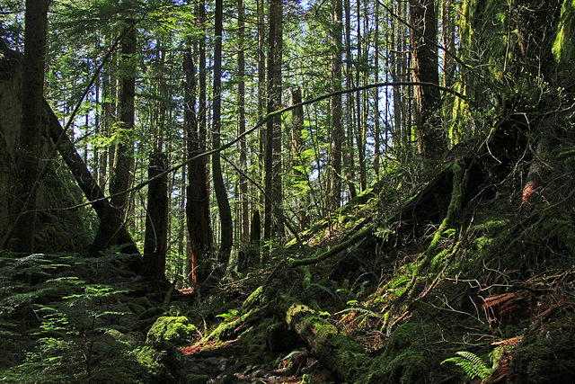 Boulder Garden Trail