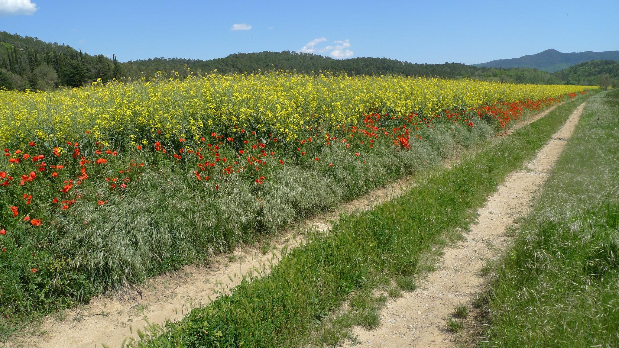 Spain - Catalonia